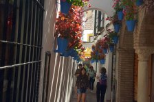 778 cordoba bario de la juderia